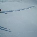 TING DEL LAGORAI (MALGA VAL CION)_16